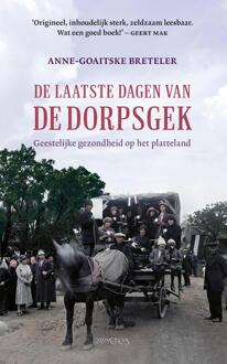 De laatste dagen van de dorpsgek -  Anne-Goaitske Breteler (ISBN: 9789044651997)