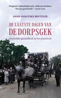 De Laatste Dagen Van De Dorpsgek - Anne-Goaitske Breteler