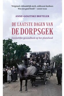 De Laatste Dagen Van De Dorpsgek - Anne-Goaitske Breteler