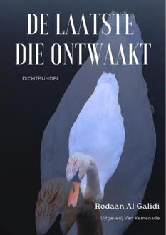 De laatste die ontwaakt -  Rodaan Al Galidi (ISBN: 9789071376801)