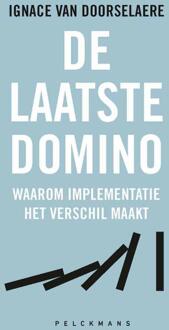 De laatste domino -  Ignace van Doorselaere (ISBN: 9789462348745)