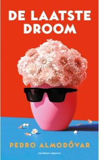 De Laatste Droom - Pedro Almodóvar