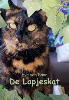 De Lapjeskat - Boek Eva van Baar (9463453288)