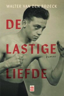 De lastige liefde - Walter Van den Broeck - ebook