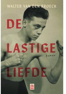 De Lastige Liefde - Walter Van den Broeck