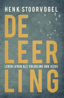 De Leerling - Boek Henk Stoorvogel (9029725834)