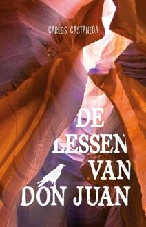 De lessen van Don Juan - Boek Carlos Castaneda (907668135X)