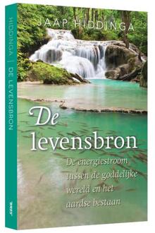 De levensbron - Boek Jaap Hiddinga (9492500671)