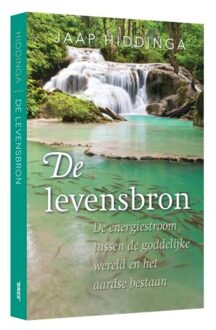 De levensbron - Boek Jaap Hiddinga (9492500671)