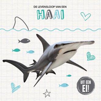 De levensloop van een haai -  Holly Duhig (ISBN: 9789464396218)