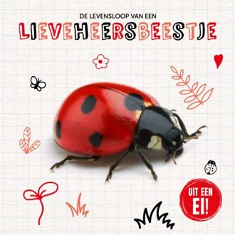 De Levensloop Van Een Lieveheersbeestje - Uit Een Ei! - Shalini Vallepur