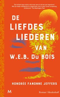 De liefdesliederen van W.E.B. Du Bois - Honorée Fanonne Jeffers - ebook