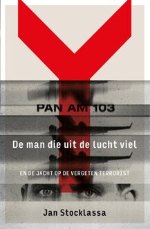 De man die uit de lucht viel - Jan Stocklassa - ebook