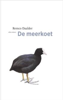 De meerkoet - Boek Remco Daalder (904503025X)
