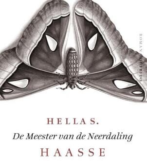 De meester van de neerdaling - Boek Hella S. Haasse (9021455676)