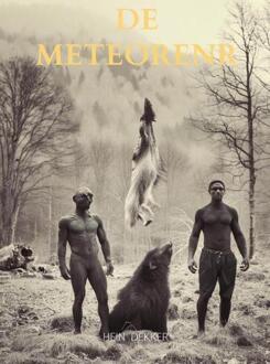 De Meteorenregen -  Hein Dekker (ISBN: 9789465017198)