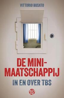 De minimaatschappij -  Vittorio Busato (ISBN: 9789462973640)