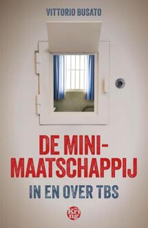 De minimaatschappij -  Vittorio Busato (ISBN: 9789462973657)