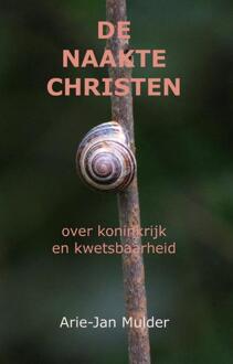 De naakte christen -  Arie-Jan Mulder (ISBN: 9789081547482)