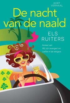 De nacht van de naald - eBook Els Ruiters (9401901856)