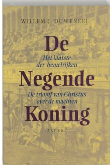 De Negende Koning - Boek Willem J. Ouweneel (9059112970)