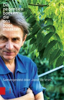 De negentien boeken die ons boos maakten - eBook Joost de Vries (9048536103)