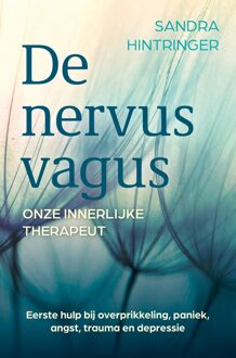 De nervus vagus, onze innerlijke therapeut - Sandra Hintringer - ebook