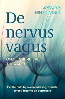 De nervus vagus, onze innerlijke therapeut - Sandra Hintringer - ebook