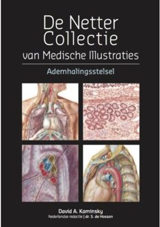 De Netter collectie / Ademhalingsstelsel - Boek David A. Kaminsky (9491984268)