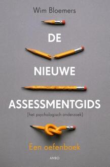 De nieuwe assessmentgids - Boek Wim Bloemers (902632734X)