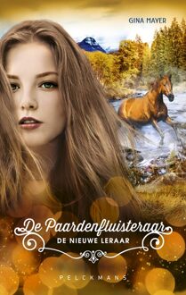 De nieuwe leraar - Gina Mayer - ebook