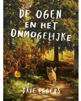 De ogen en het onmogelijke. 10+