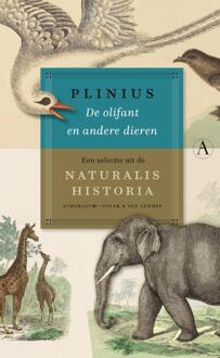 De olifant en andere dieren -  Plinius (ISBN: 9789025317195)