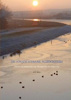 De (on)zichtbare schoonheid - Boek Ronald Wilfred Jansen (9461931689)