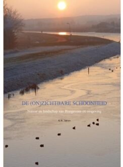 De (on)zichtbare schoonheid - Boek Ronald Wilfred Jansen (9461931689)
