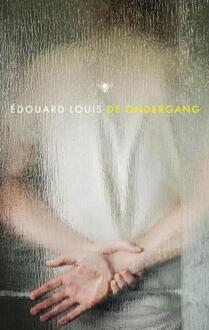 De ondergang -  Édouard Louis (ISBN: 9789403134161)