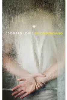 De Ondergang - Édouard Louis