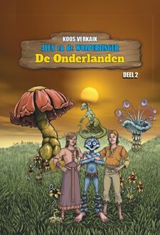 De onderlanden -  Koos Verkaik (ISBN: 9789464932249)