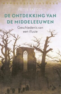 De ontdekking van de Middeleeuwen - eBook Peter Raedts (902844260X)