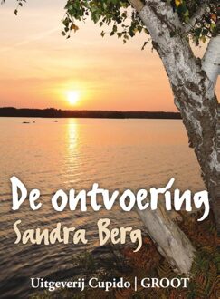 De ontvoering - eBook Sandra Berg (9462040265)