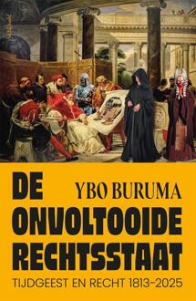 De onvoltooide rechtsstaat -  Ybo Buruma (ISBN: 9789044659573)