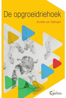 De Opgroeidriehoek - Anneke Van Teijlingen