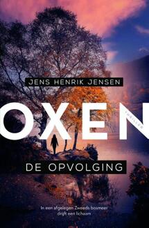 De opvolging -  Jens Henrik Jensen (ISBN: 9789400519794)