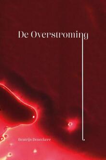 De overstroming -  Beatrijs Deneckere (ISBN: 9789493381254)