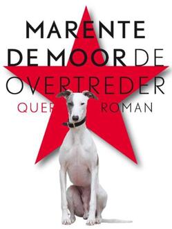 De overtreder - Boek Marente de Moor (9021446138)