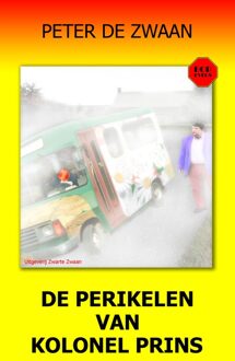 De perikelen van kolonel Prins - Peter de Zwaan - ebook