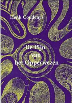 De pijn van het opperwezen - Boek Henk Coudenys (9077101047)