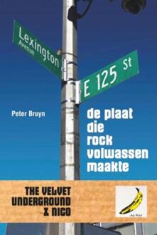 De plaat die rock volwassen maakte - Boek Peter Bruyn (9062659519)