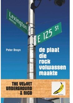 De plaat die rock volwassen maakte - Boek Peter Bruyn (9062659519)