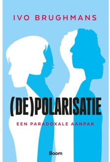 (De)Polarisatie - Ivo Brughmans